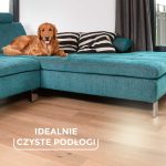 Szczotka do zamiatania sierści i włosów Vileda  Always Clean Pet Pro bez drążka