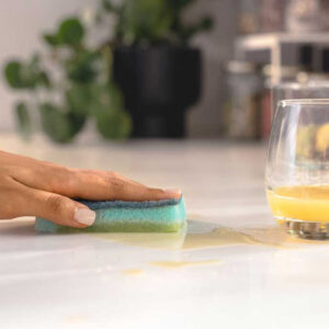 Zmywak z enzymami Vileda Pro Clean 2 szt. - 5 razy większa chłonność